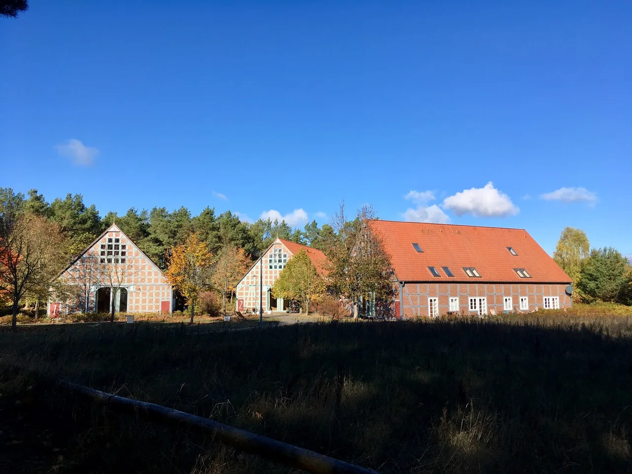 Rundlingsdorf Sagasfeld, Hofansicht