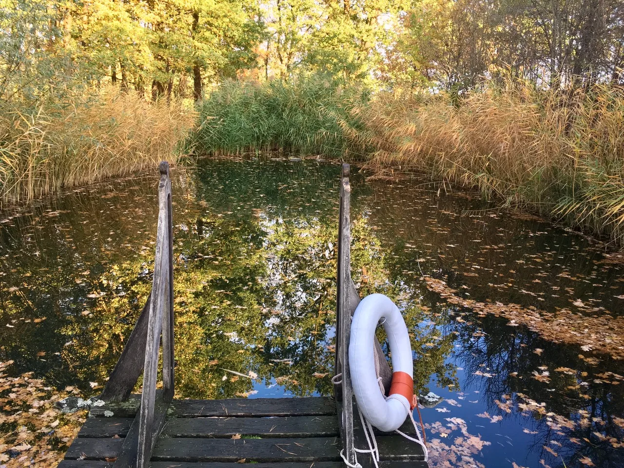 Teich im Rundlingsdorf Sagasfeld